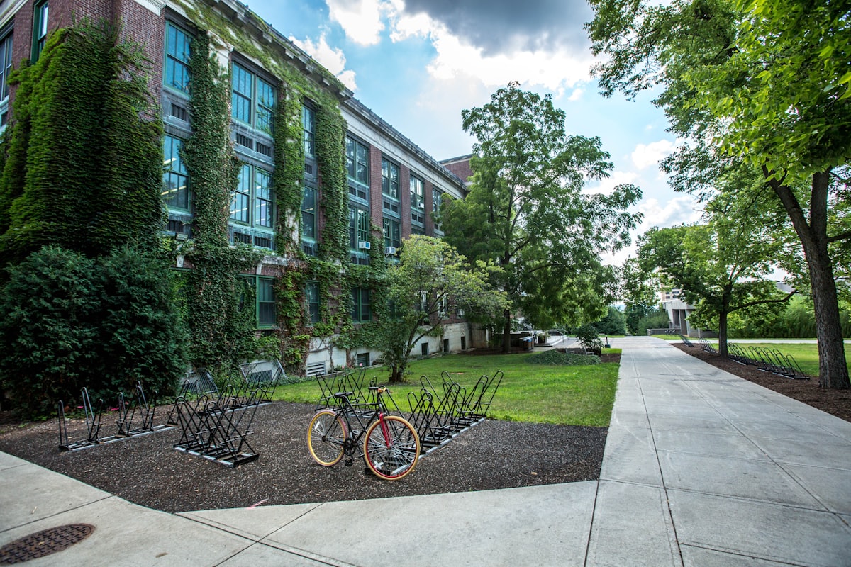 Pioneer College of Technology & Sciences University – 4 Campus View